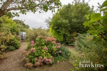 Images for Broad Town